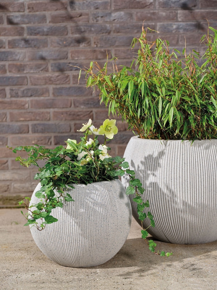 Decoris Plastic Lennox Planters - Image 1 of 2