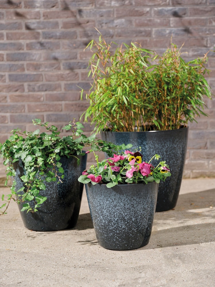 Decoris Set of 3 Felix Plastic Planters - Image 1 of 3