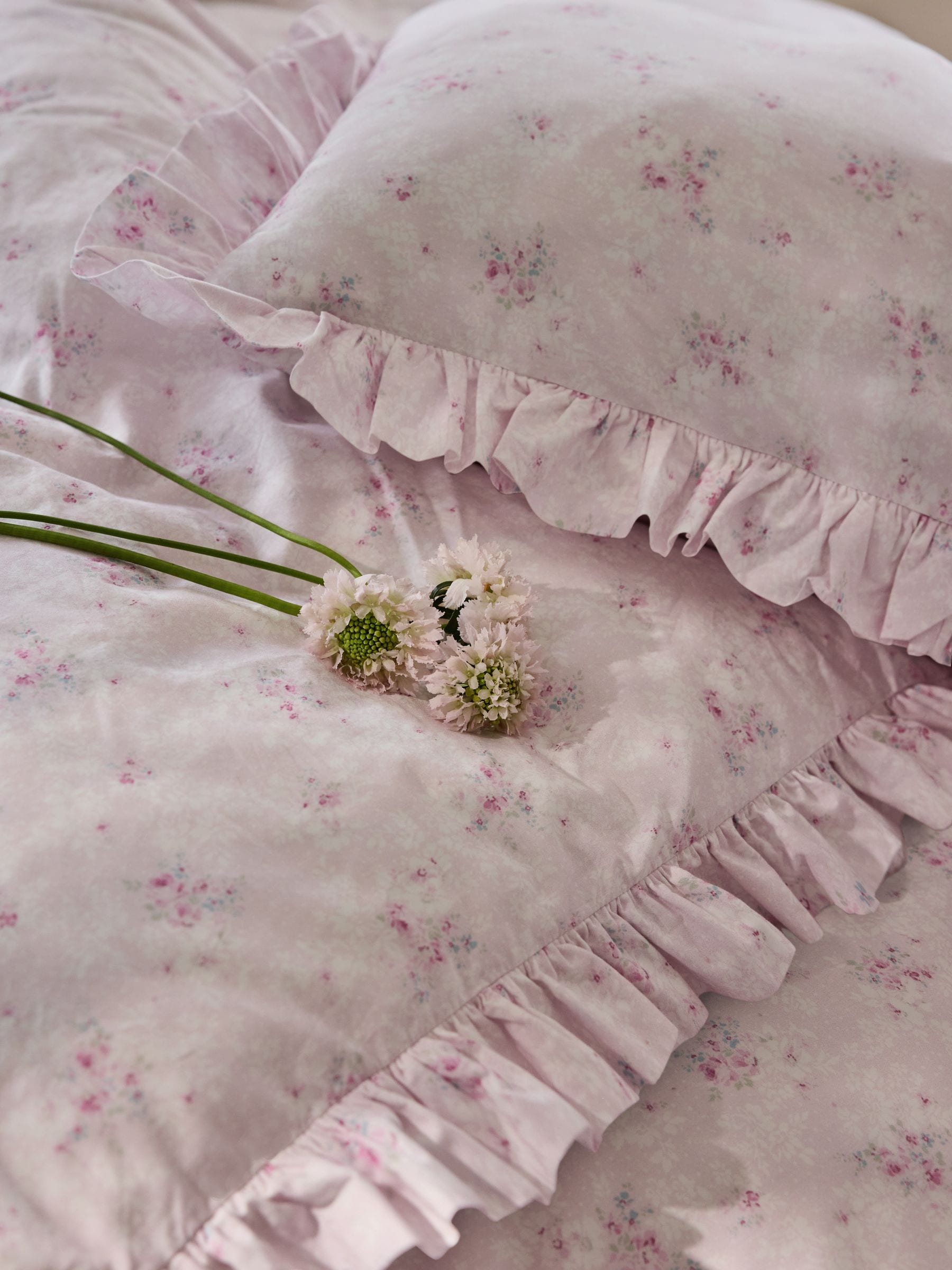 Rachel Ashwell shabby chic デュべandピローケース Buy Shabby Chic by Rachel Ashwell® Bird Chinoiserie Floral Print
