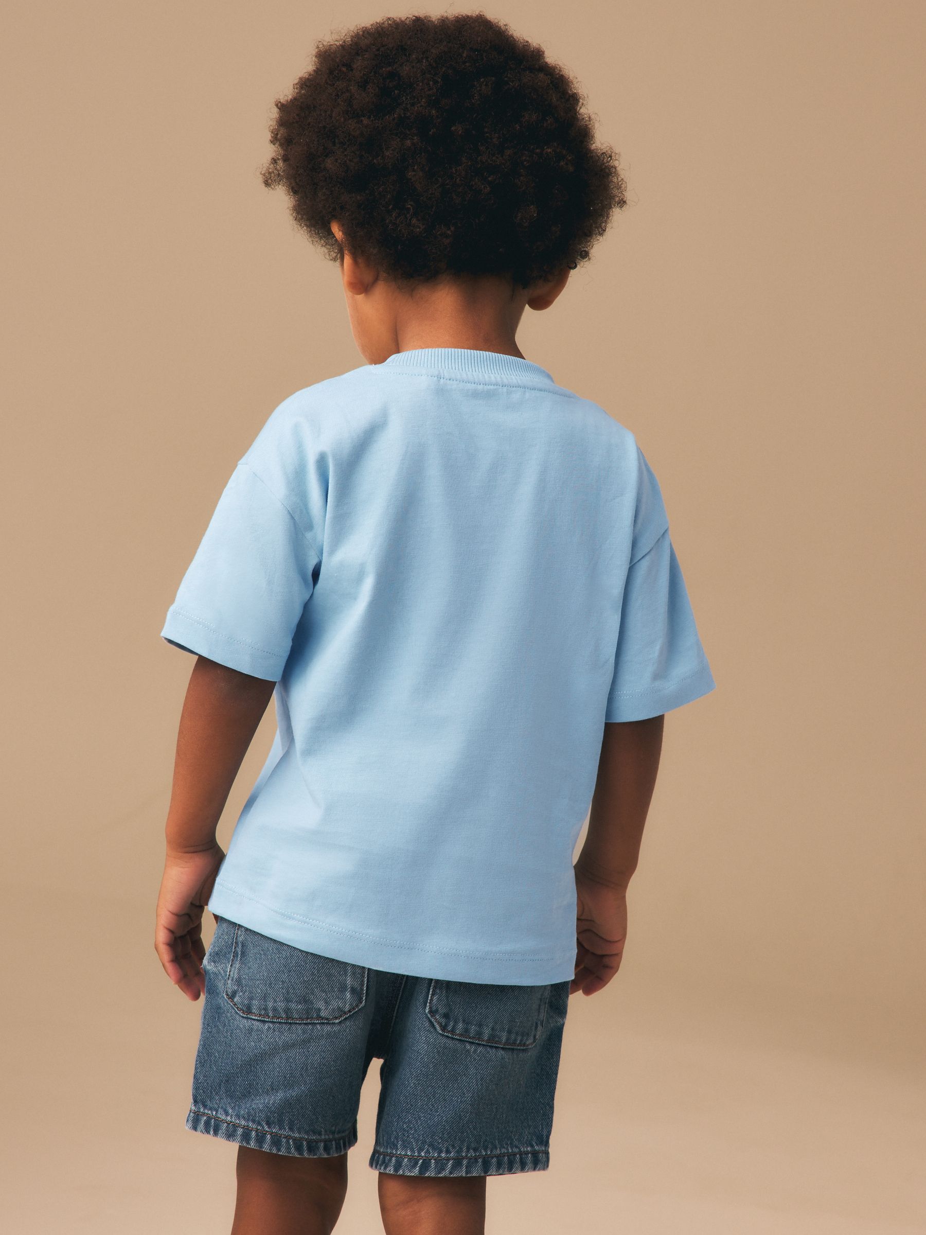 Buy Light Blue Tiger Short Sleeve Small Graphic T-Shirt (3mths
