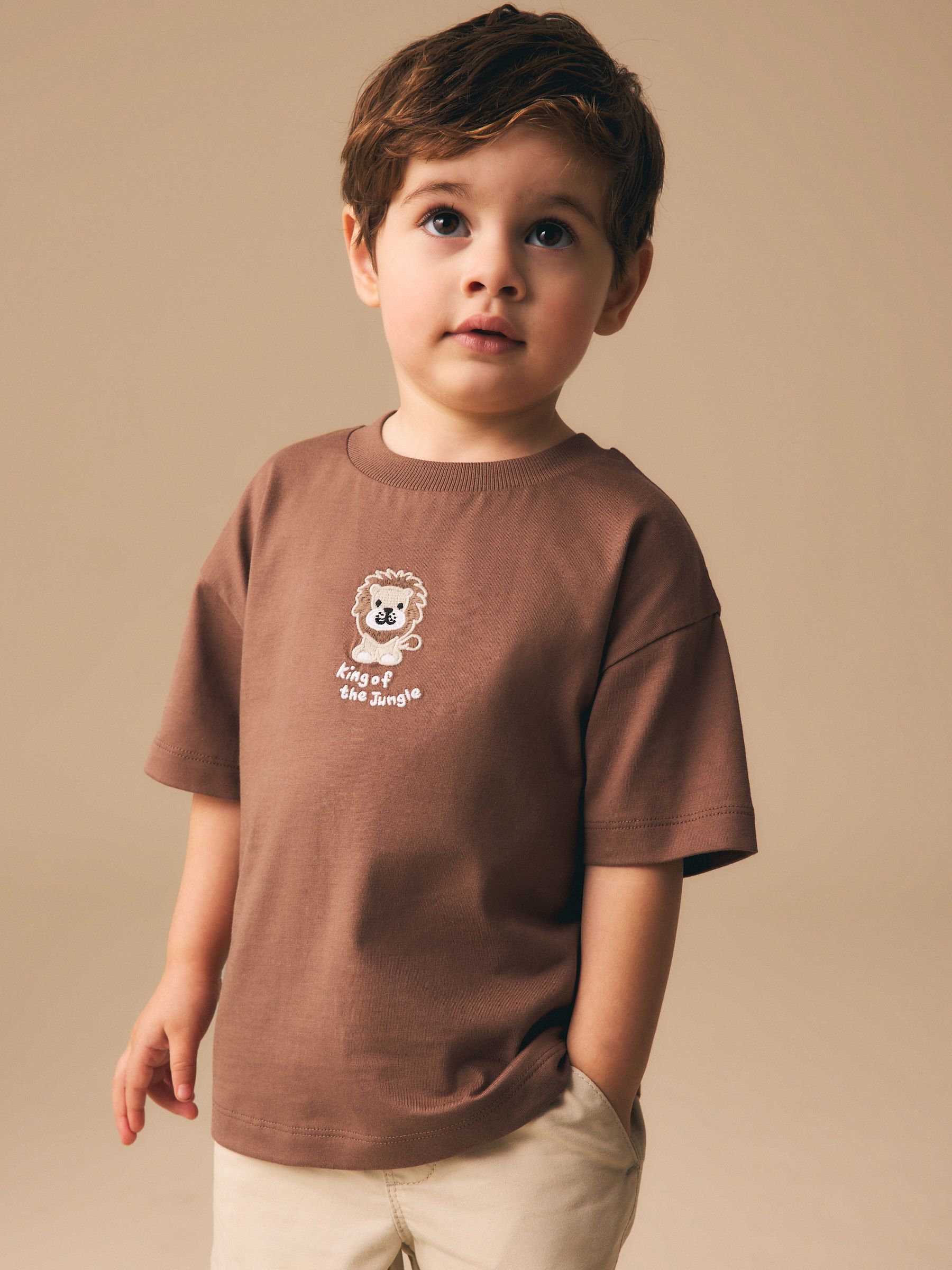 Buy Chocolate Brown Lion Short Sleeve Small Graphic T-Shirt (3mths