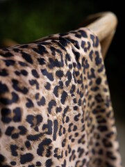 Rockett St George Leopard Love Printed Velvet Throw - Image 3 of 8