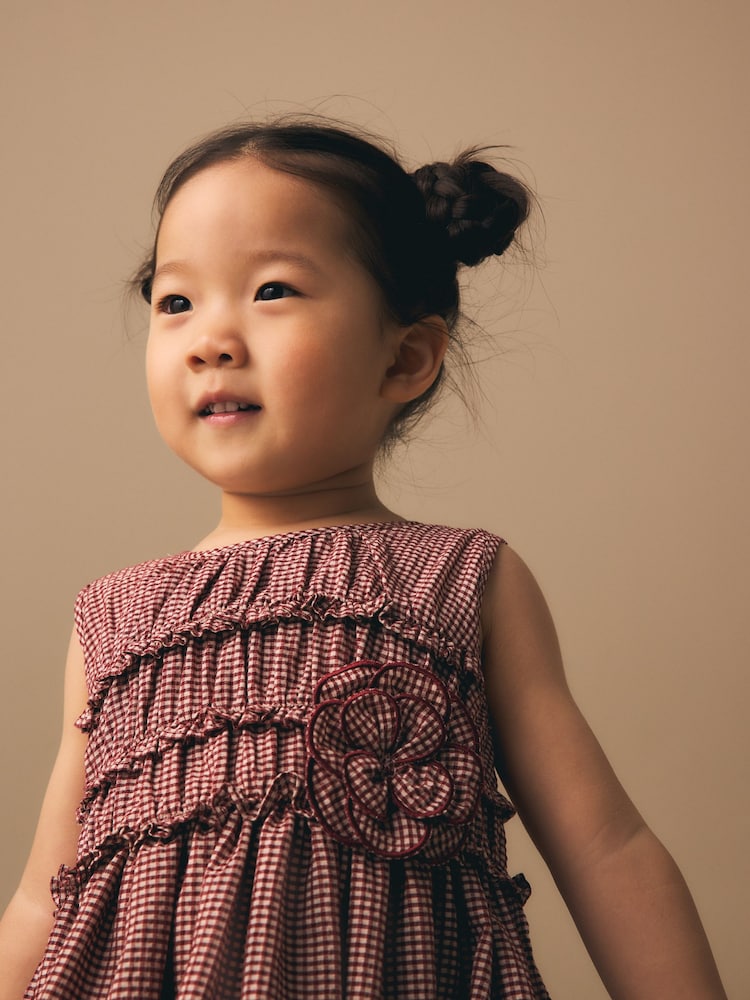 Chocolate Brown Gingham Corsage Dress (3mths-8yrs) - Image 2 of 7