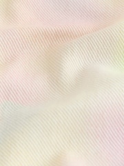 Multi Rainbow Ombre Regular Length Frayed Edge Denim Shorts (3-16yrs) - Image 4 of 4