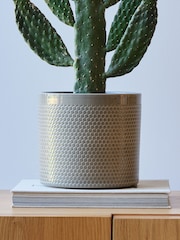 Beards & Daisies Light Green Cowboy Cactus and Capri Pot - Image 3 of 3