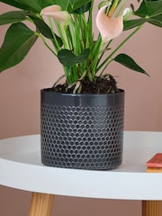 Beards & Daisies Granite Anthurium and Capri Pot - Image 3 of 3