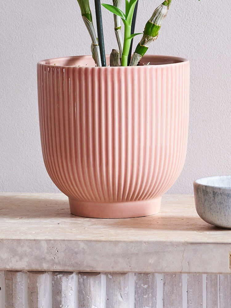 Beards & Daisies Pink Orchid and Ribbed Pot - Image 3 of 3 Beards & Daisies Pink Orchid and Ribbed Pot - Image 3 of 3