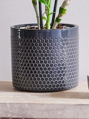 Beards & Daisies Granite Orchid & Capri Pot - Image 3 of 3
