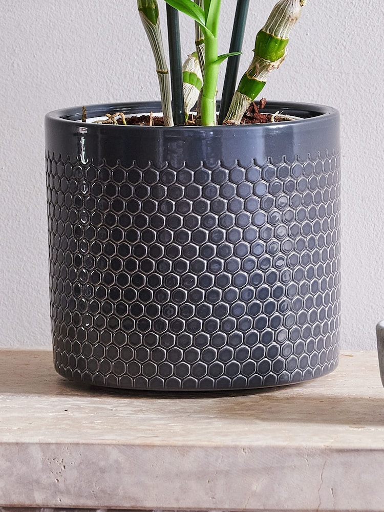 Beards & Daisies Granite Orchid & Capri Pot - Image 3 of 3