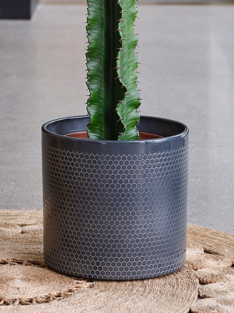 Beards & Daisies Granite Trigona Cactus & Capri Pot - Image 3 of 3 Beards & Daisies Granite Trigona Cactus & Capri Pot - Image 3 of 3