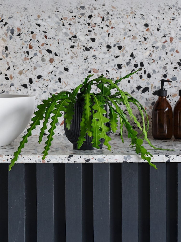 Beards & Daisies Navy Fishbone Cactus & Ribbed Pot - Image 1 of 3