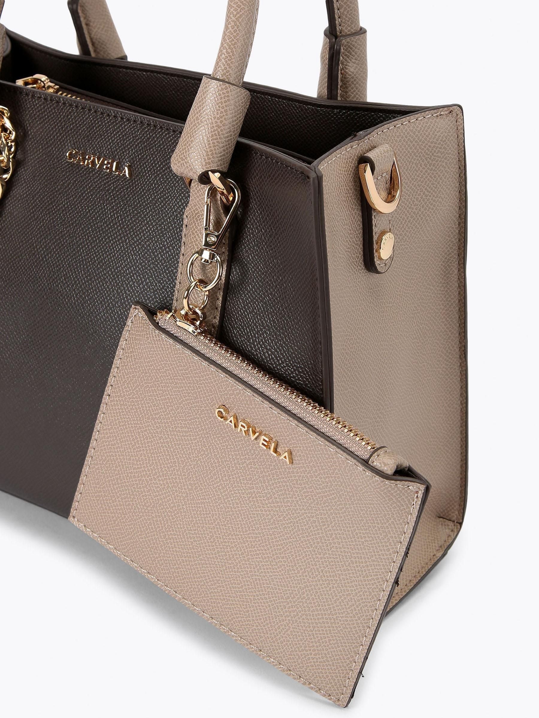 Buy Carvela Brown Small Mini Latte Bag from Next South Africa