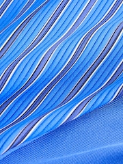 self.ハイレグ ビキニボトム - 画像 7 / 7