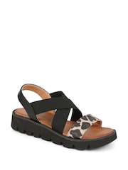 Pavers Black Multi Slip-On Chunky Sandals - Image 2 of 5