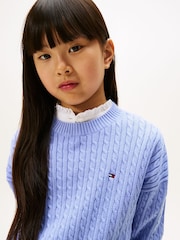 Tommy Hilfiger Blue Relaxed Cable Knit Jumper - Image 4 of 5