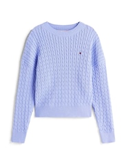 Tommy Hilfiger Blue Relaxed Cable Knit Jumper - Image 5 of 5