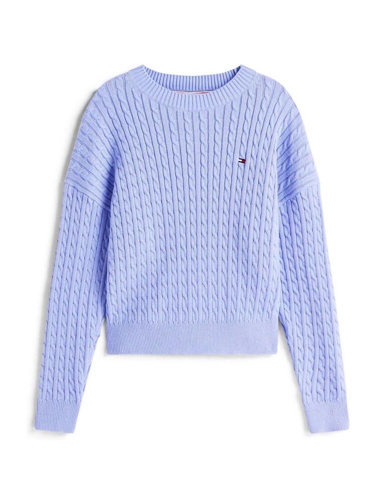 Tommy Hilfiger Blue Relaxed Cable Knit Jumper - Image 5 of 5 Tommy Hilfiger Blue Relaxed Cable Knit Jumper - Image 5 of 5