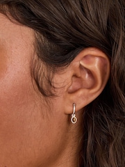 Accessorize Brown Sterling Silver Healing Stone Hoop Earrings - Image 3 of 3