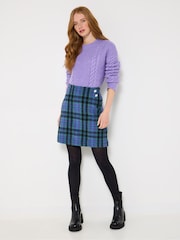 Joe Browns Blue Check Mini Skirt - Image 5 of 7