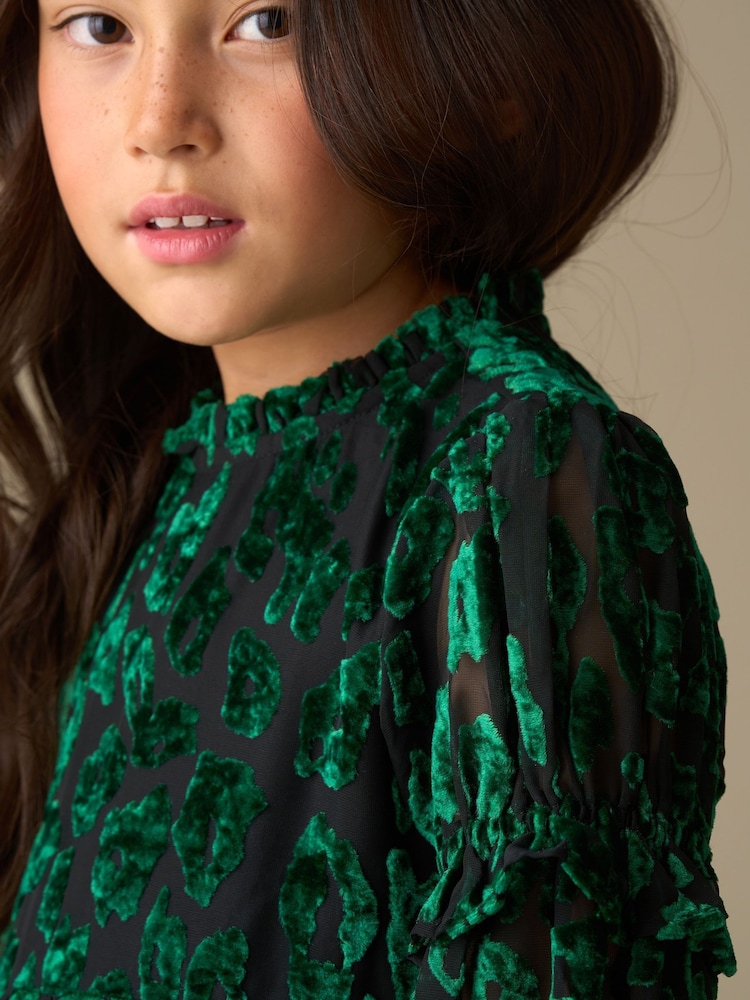 Buy Angel & Rocket Green Poppy Devore Velvet Tiered Dress from Next USA Buy Angel & Rocket Green Poppy Devore Velvet Tiered Dress from Next USA