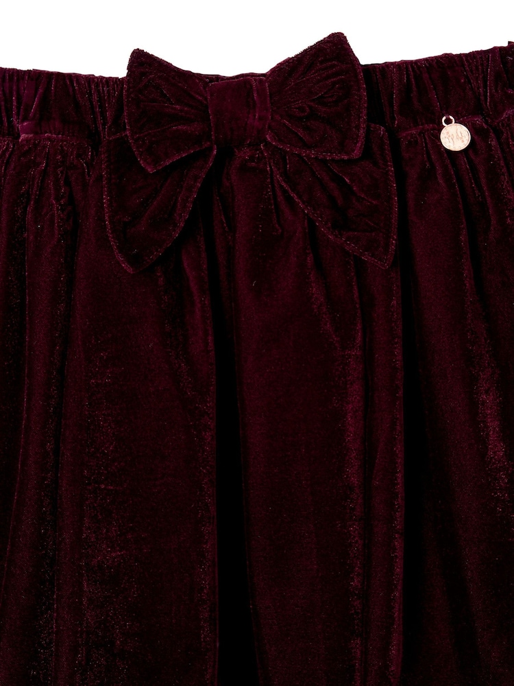 Angel & Rocket Red Chloe Velvet Skirt - Image 6 of 6