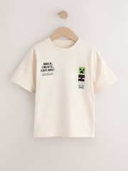 Mint Green/ Stone 2 Pack Minecraft T-Shirt (3-16yrs) - Image 2 of 6