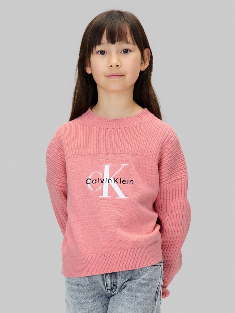 Calvin Klein Pink Logo Jumper - Image 1 of 6 Calvin Klein Pink Logo Jumper - Image 1 of 6