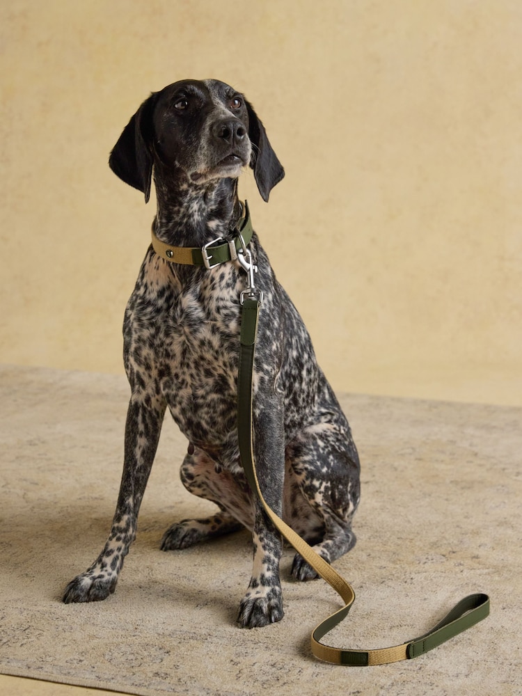 Joules Khaki Green Pet Lead - Image 1 of 5 Joules Khaki Green Pet Lead - Image 1 of 5