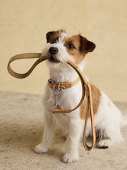 Joules Tan Brown Pet Lead - Image 1 of 5