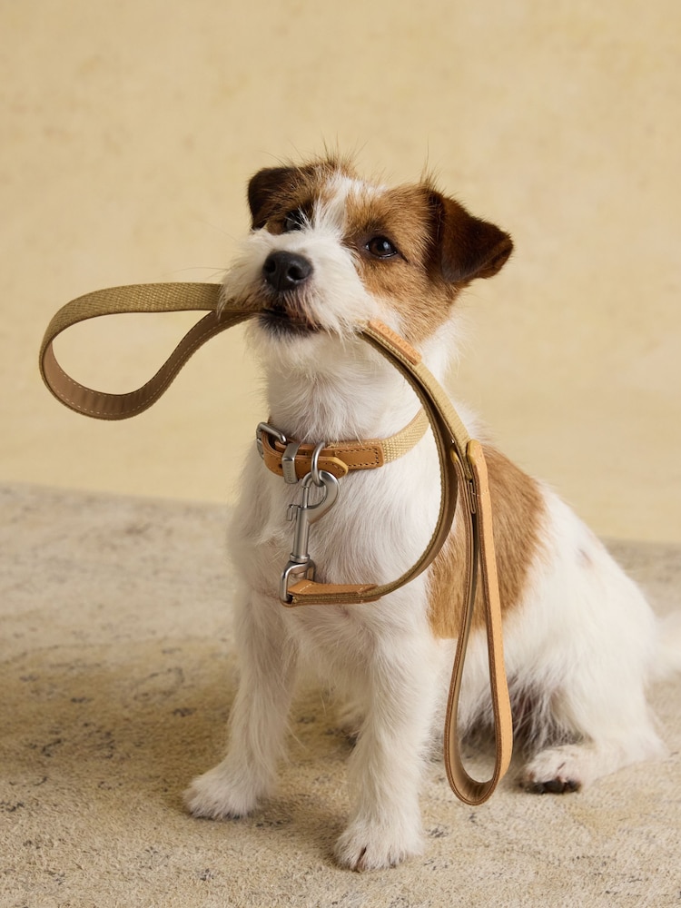 Joules Tan Brown Pet Lead - Image 1 of 5