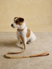 Joules Tan Brown Pet Lead - Image 2 of 5