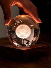 Gingko Walnut Amber Crystal Light with 3D Laser Dandelion - Image 3 of 5