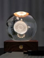 Gingko Walnut Amber Crystal Light with 3D Laser Dandelion - Image 4 of 5