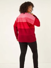 Roman Red Curve Ombre Stripe Knit Jumper - Image 4 of 5