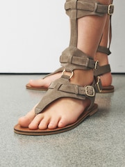 Taupe Knee High Gladiator Sandals - Image 2 of 4