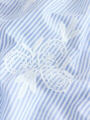 Light Blue/White Stripe Broderie Maxi Skirt - Image 2 of 3