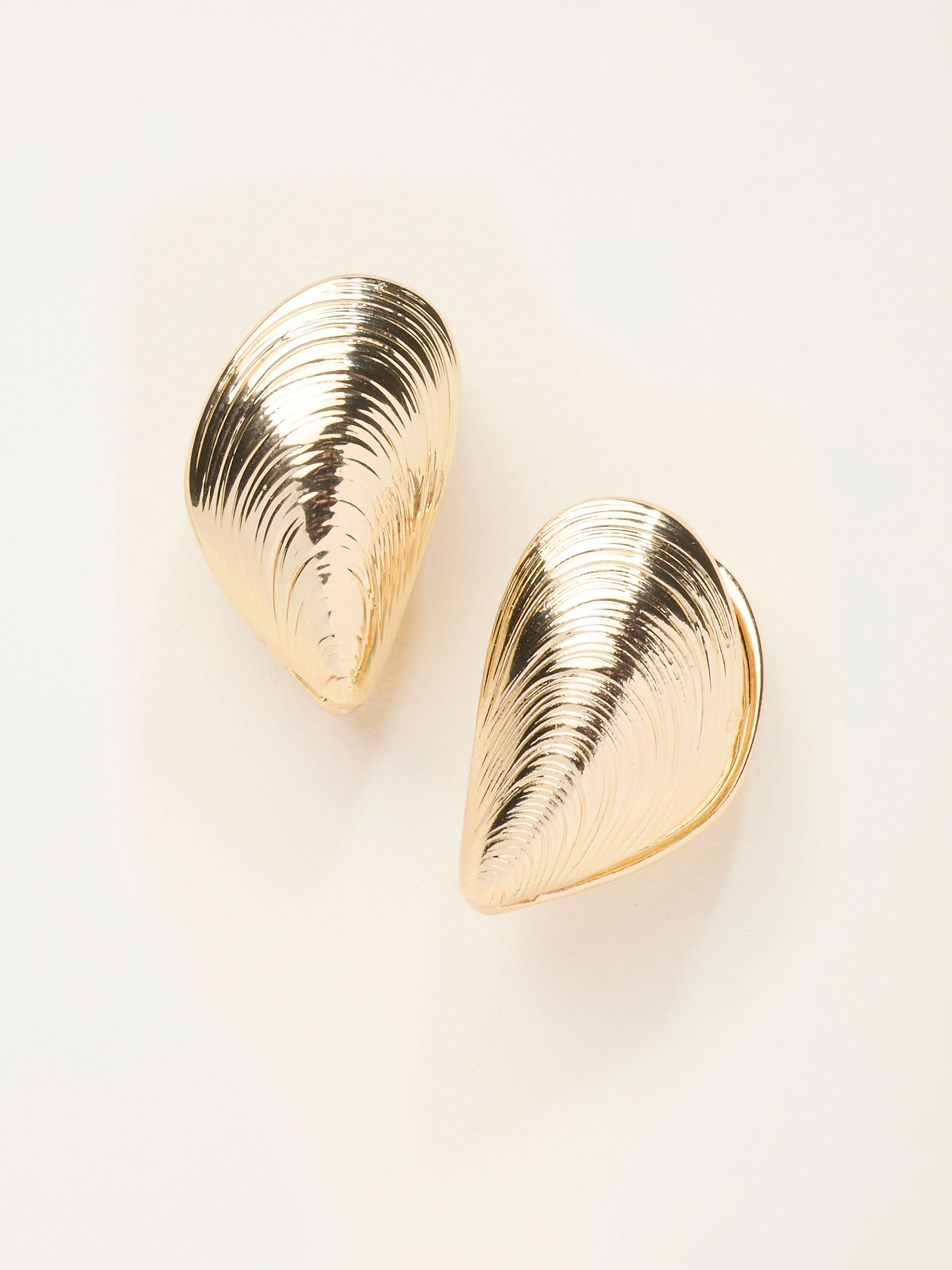 Fat Face - Earrings - Large - Shell - Gold