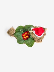 Red Primrose Christmas Plant in Novelty Hamish Planter - Image 4 of 6
