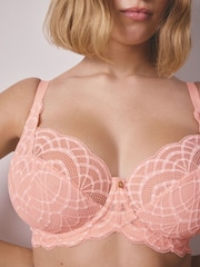 Apricot DD+ Non Pad Balcony Lace Bra - Image 5 of 5