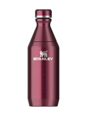 Stanley Garnet Shine All Day Slim Bottle 0.35L - Image 1 of 3