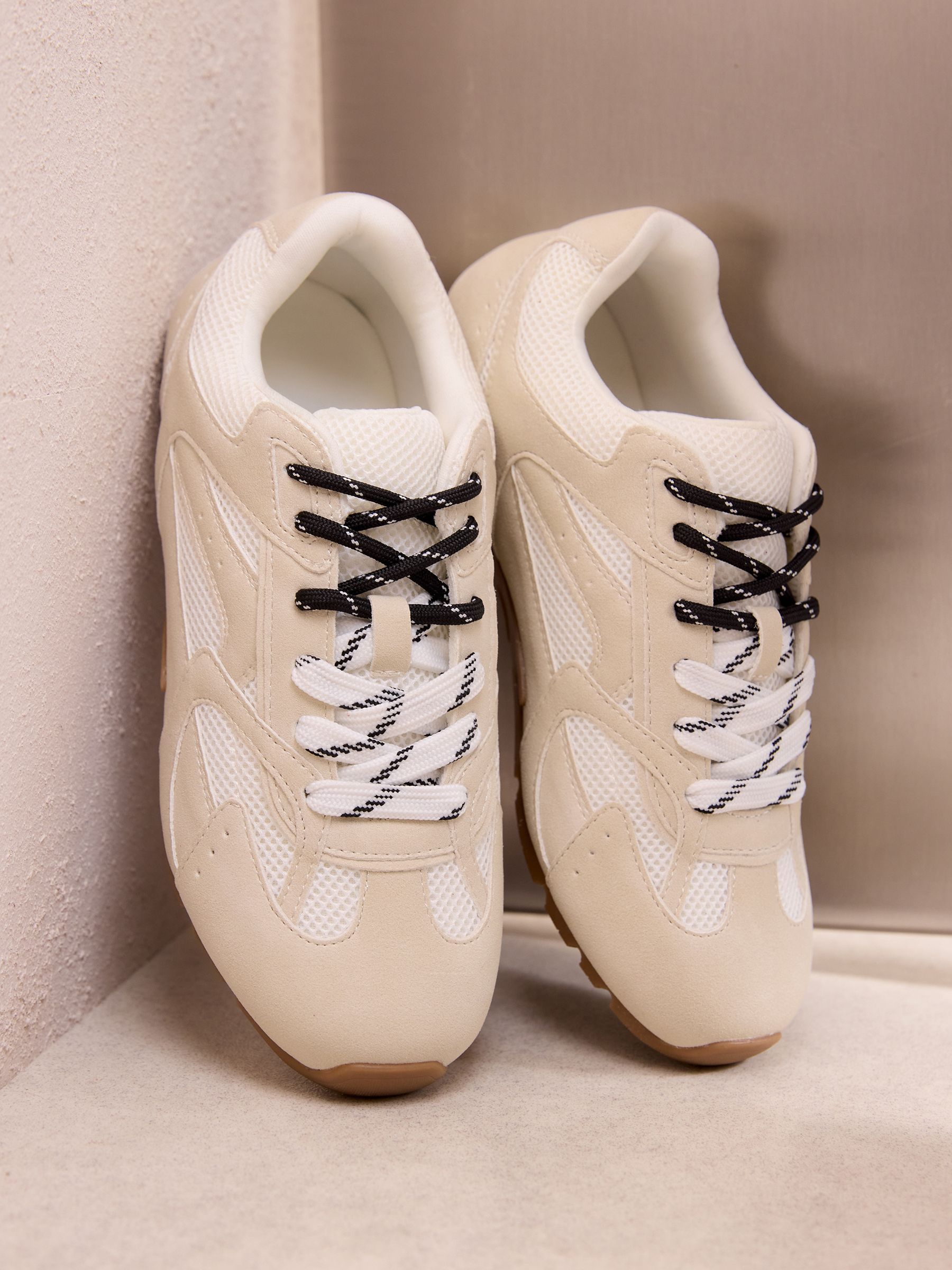 Y21858s.jpg