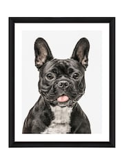 Brookpace Lascelles Black/White Hand made in UK Photogenic Dog Scandi Wall Art in A Stylish Gloss Finish Studio Frame  40 X 50cm - Image 2 of 4