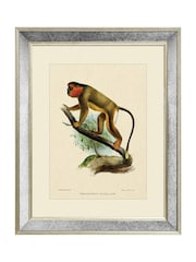 Brookpace Lascelles Cream Mirror Hand Made in UK 'Primate IV' Wall Art in Antique Gold Toned Mirrored Frame  40 x 50cm Wall Art - Image 2 of 4