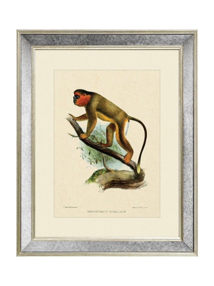 Brookpace Lascelles Cream Mirror Hand Made in UK 'Primate IV' Wall Art in Antique Gold Toned Mirrored Frame  40 x 50cm Wall Art - Image 2 of 4