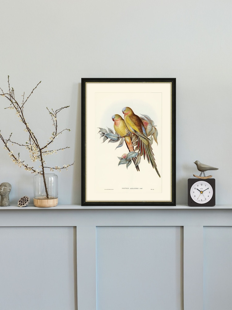 Brookpace Lascelles Multi Black Wall Art - Image 1 of 4 Brookpace Lascelles Multi Black Wall Art - Image 1 of 4
