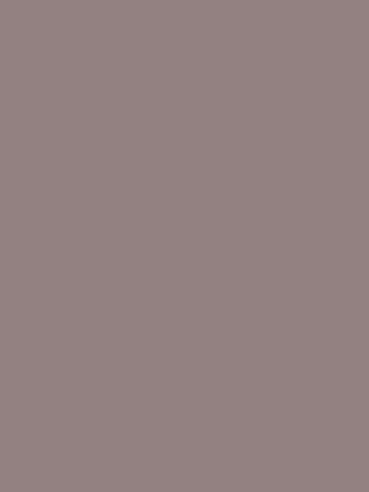 Abigail Ahern Sequoia Tree 2.5 Litre Emulsion Paint - Image 2 of 7 Abigail Ahern Sequoia Tree 2.5 Litre Emulsion Paint - Image 2 of 7