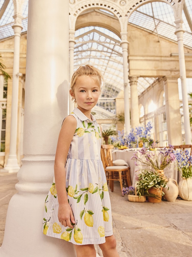 Lemon Stripe Shirt Dress (3-16yrs) - Image 2 of 7