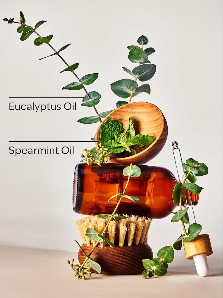 Bath & Body Works Eucalyptus Spearmint Body Exfol - Image 2 of 2