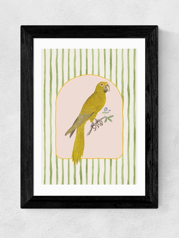 East End Prints Black Eccentric Parrot Wall Art Print by Oh Fine Art - Image 2 of 3 East End Prints Black Eccentric Parrot Wall Art Print by Oh Fine Art - Image 2 of 3