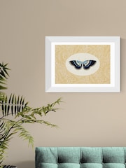 East End Prints White Delicate Flutter Wall Art Print by Oh Fine Art - Image 1 of 3